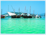 Vacanze mare Stintino